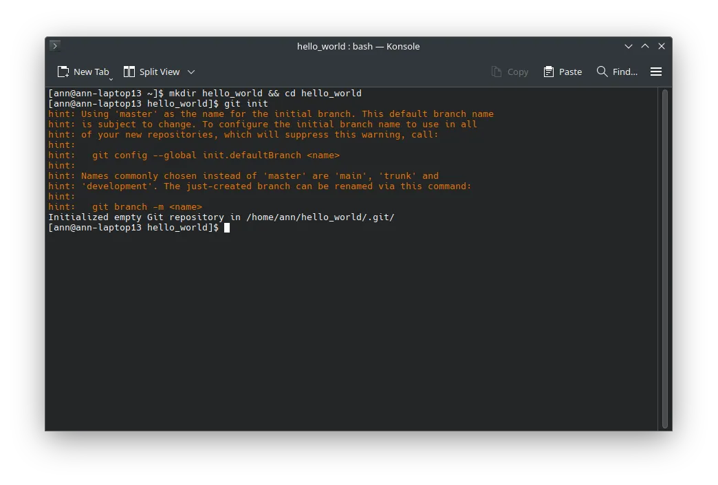 The output of the git init command
